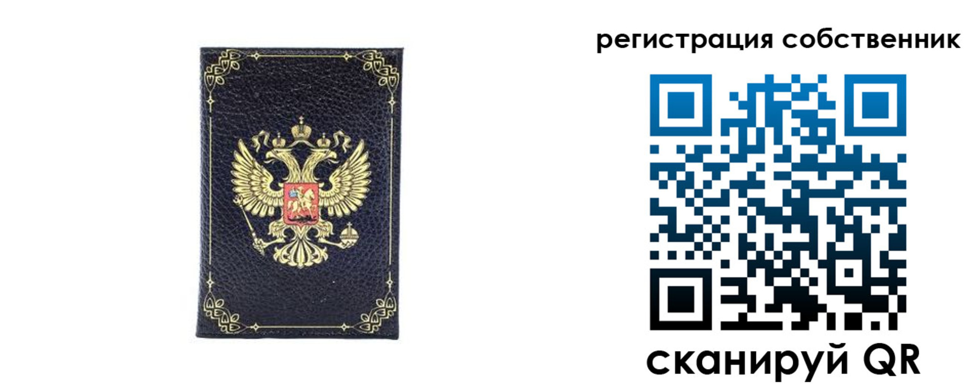 прописка законно в Куртамыше